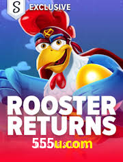 Live Casino 555u.com