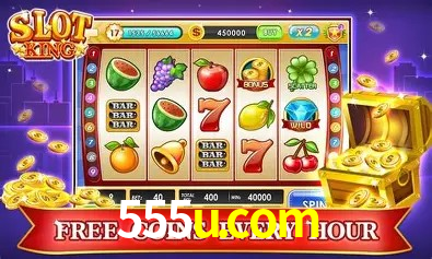 API Integration 555u.com